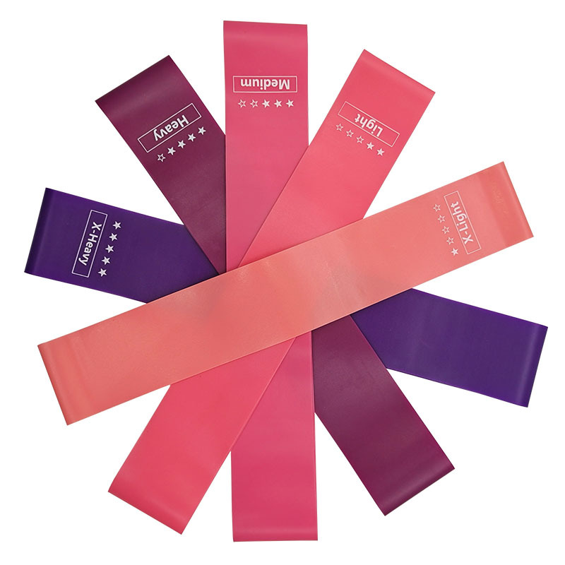 Gym avec bandes élastiques, éq - Pilates Bar Kit With Resistance Bands avis et prix
